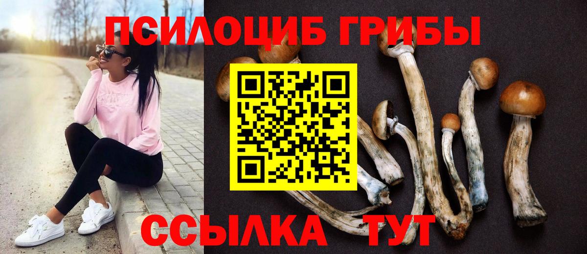 Псилоцибиновые грибы Magic Shrooms Коркино