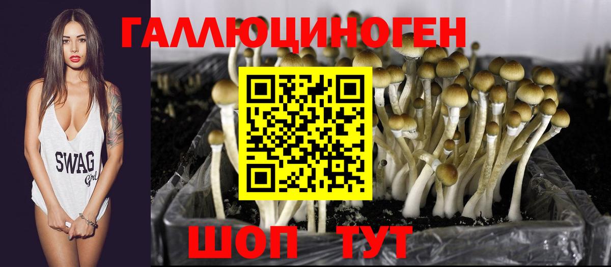 Галлюциногенные грибы ЛСД  Вход с VPN  Псилоцибиновые грибы мицелий  Коркино 
